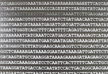 Assembling the genome by Peri Tobias University of Sydney