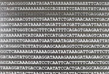 Assembling the genome by Peri Tobias University of Sydney2
